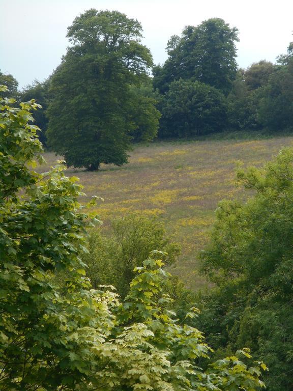 Diamond Hill Waterford