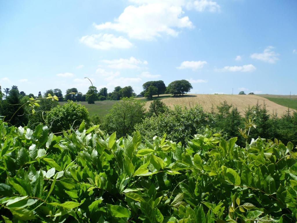Diamond Hill Bed & Breakfast 3*