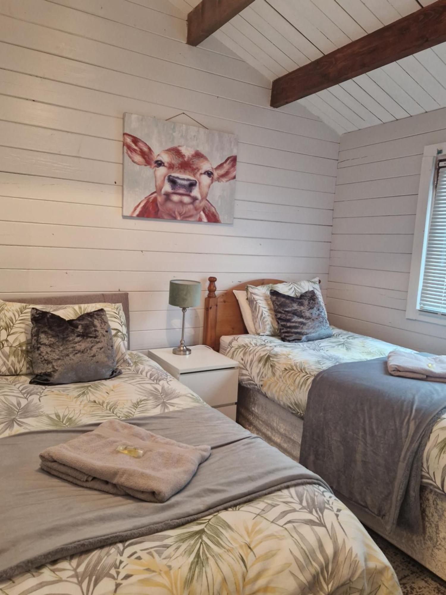 Kozy Apartment *