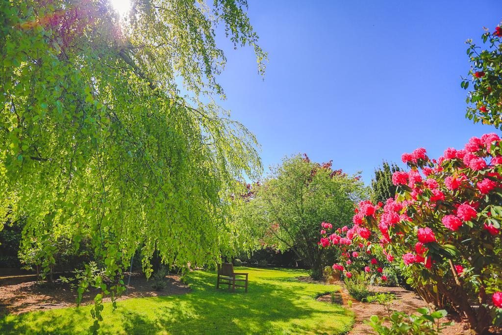 Bed & Breakfast Diamond Hill